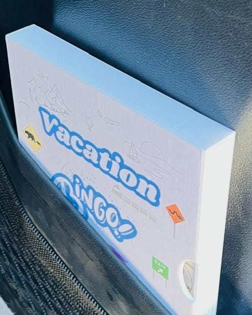 Vacation Bingo Travel Game Cruise edition with hard sided case and 12 unique game cards. Great Summer Family Vacation for Adults and Kids.