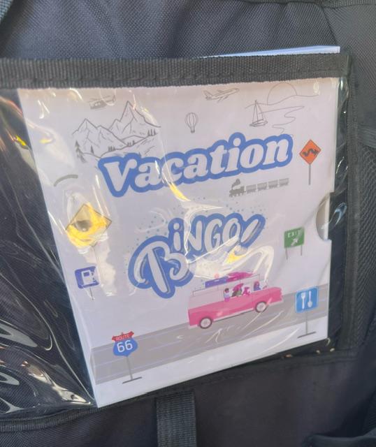 Vacation Bingo Travel Game Cruise edition with hard sided case and 12 unique game cards. Great Summer Family Vacation for Adults and Kids.